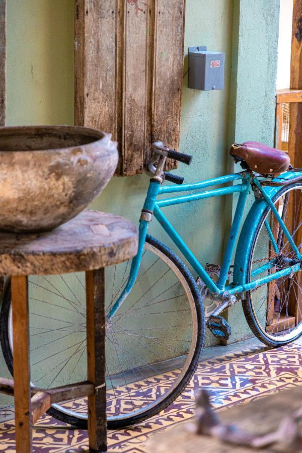 Alma De Zorro Hotel Bacalar Kültér fotó